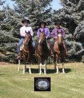 Winners of the Lethbridge Spring Rodeo team penning competition. Horses from left to right are Baileys Inkling, Cheros Even Luckier, and Bold Horizon. All are by Cherokees Trophy